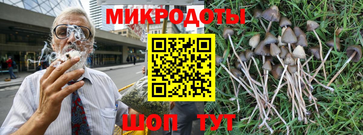 Галлюциногенные грибы прущие грибы  Вход с VPN  Татарск 