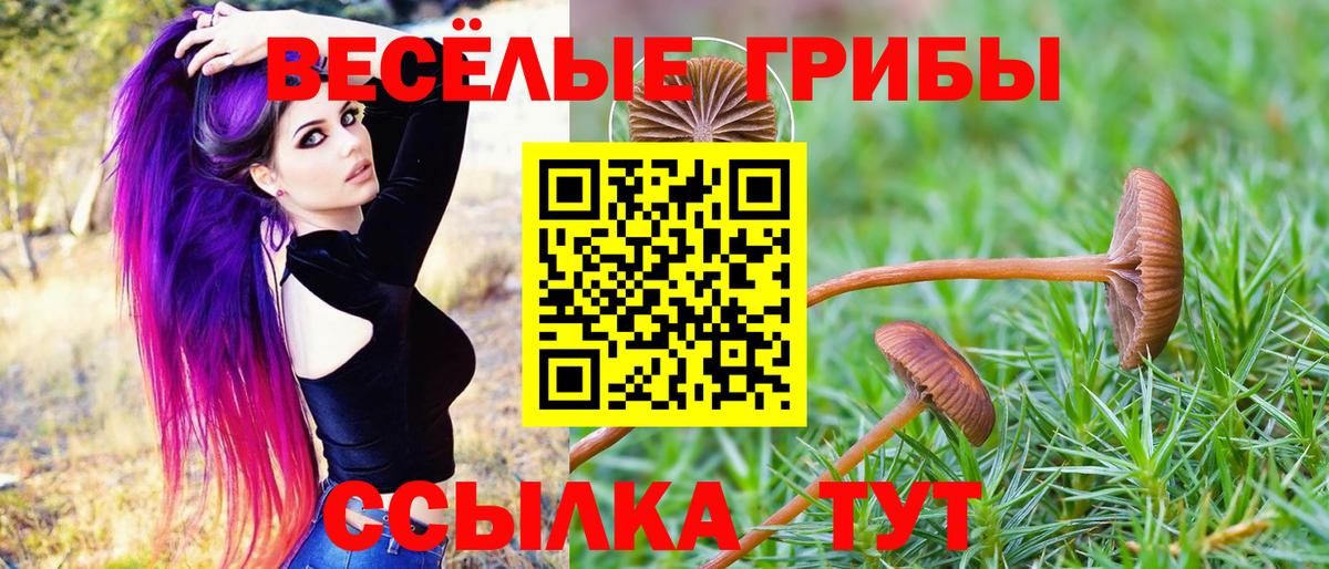 Галлюциногенные грибы GOLDEN TEACHER Татарск